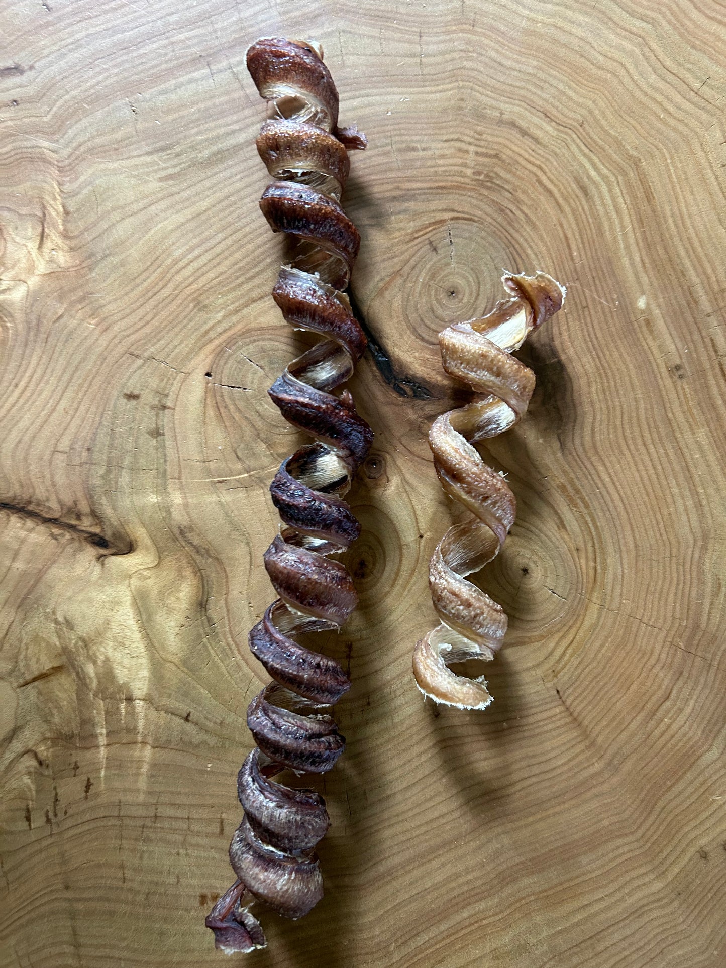 Bully stick Curly (plusieurs grandeurs) - VENTE MASTICATION