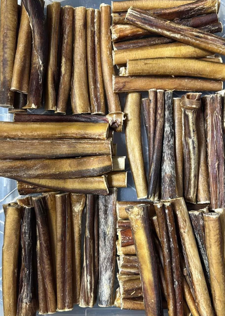 Bullystick jumbo 6 po - Paquet économique de (10)