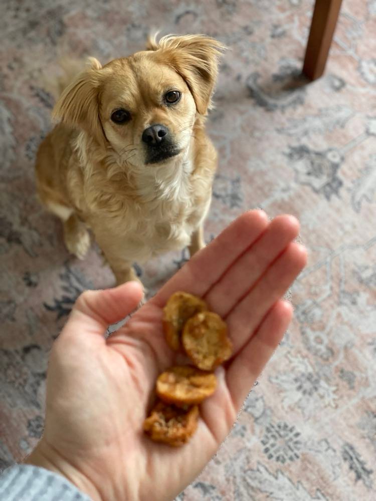 Bananes déshydratées en VRAC - La doguerie ®