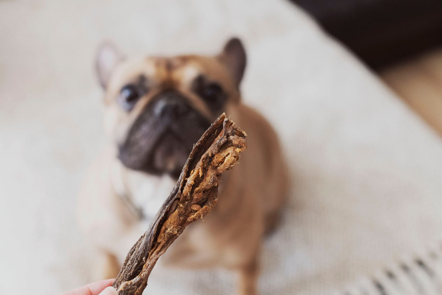 Bâtonnets de tripe de boeuf en VRAC - La doguerie ®