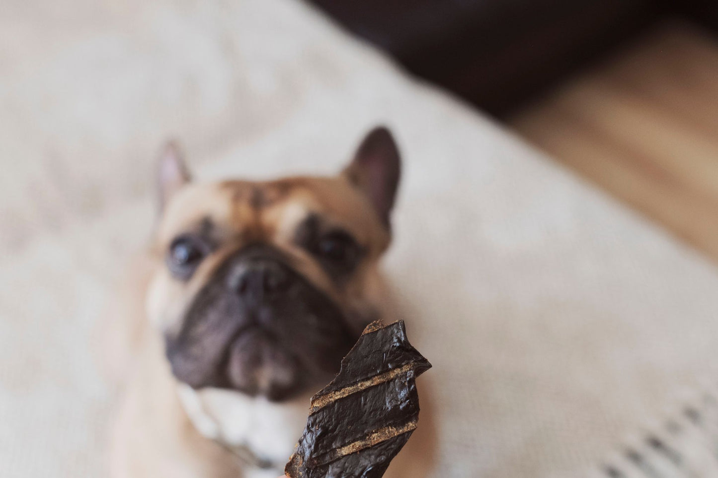 Foie de boeuf cuit au four en VRAC - La doguerie ®