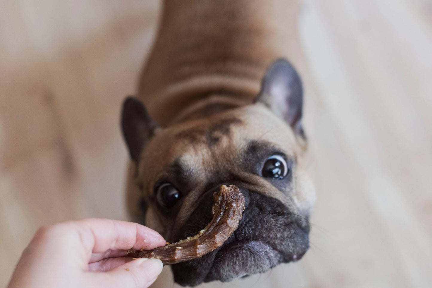 Cou de poulet en VRAC - La doguerie ®