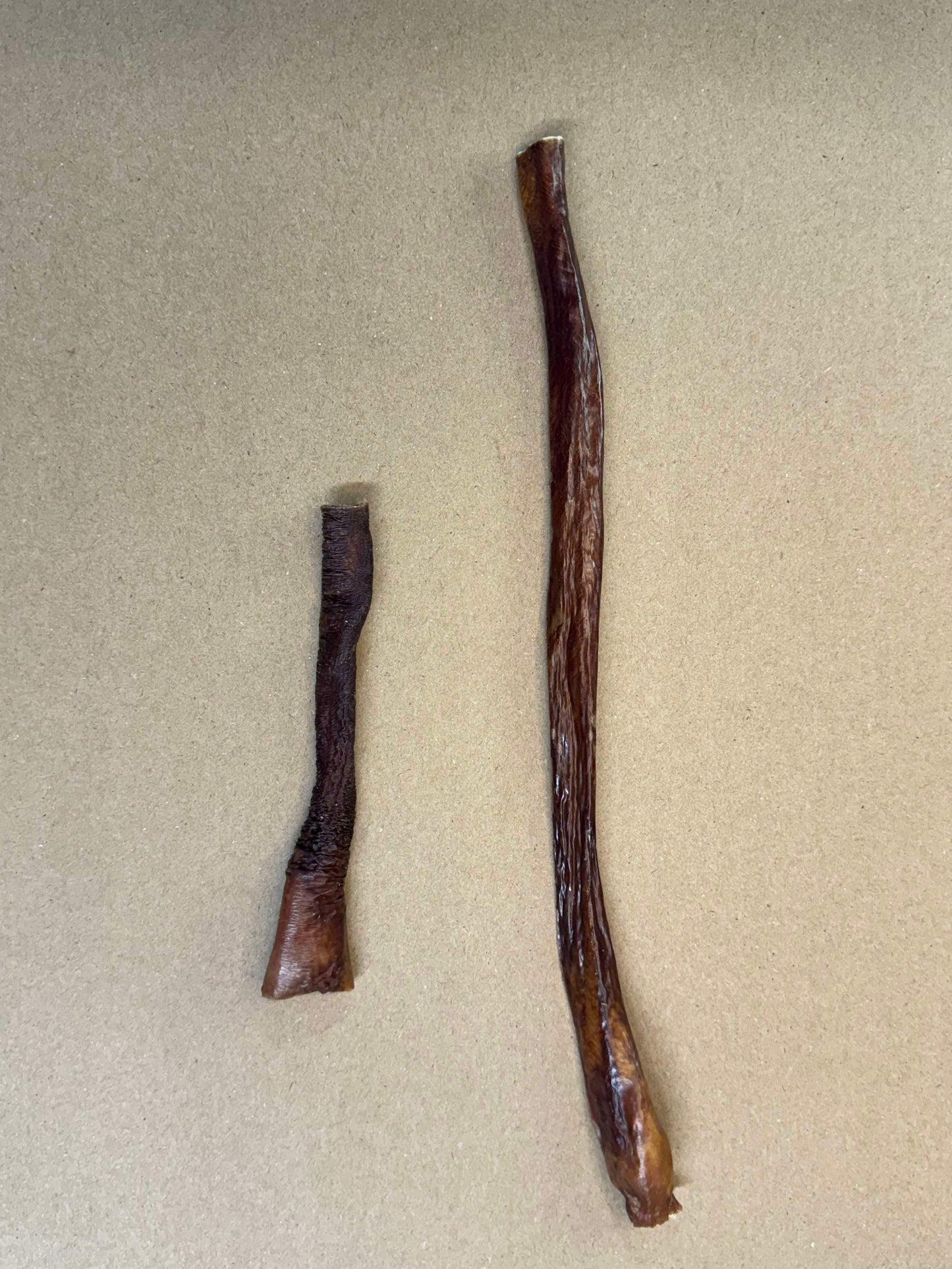 Bâton d'oesophage de boeuf (plusieurs grandeurs) - VENTE MASTICATION