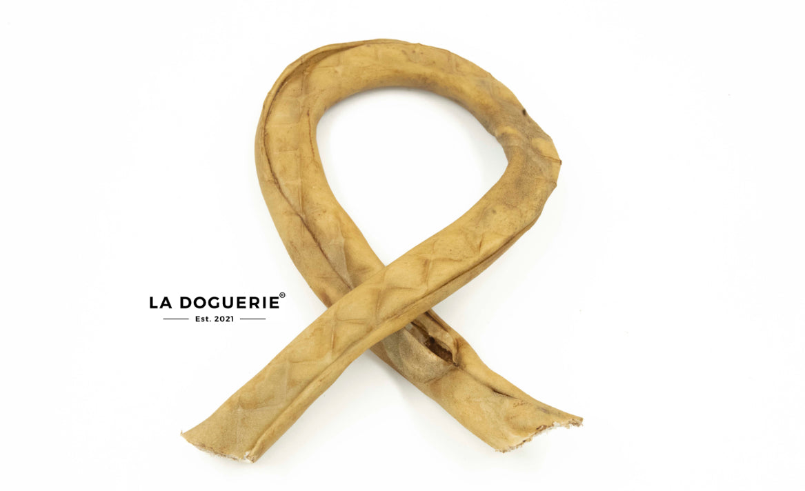 Collagène Ruban - LA DOGUERIE ®