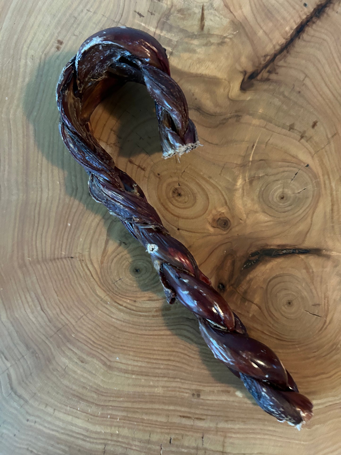 Canne d'Oesophage de boeuf - PROMOTION DÉCEMBRE