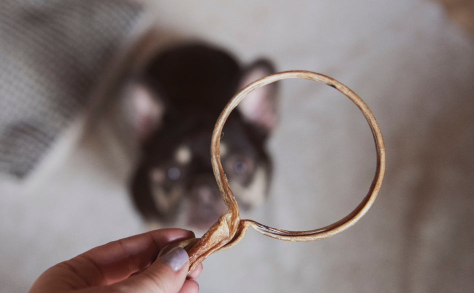 Pizzle de porc anneau simple ou double - VENTE MASTICATION