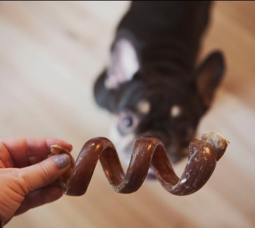 Œsophage de porc spirale 6 po