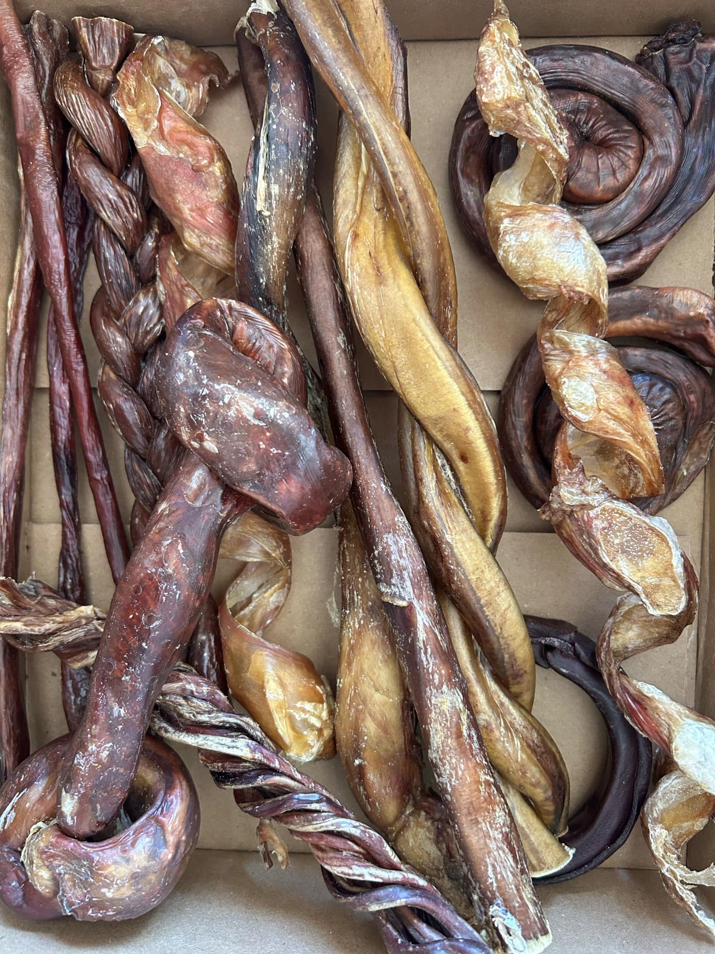 Ensemble mastication « L'économique »!