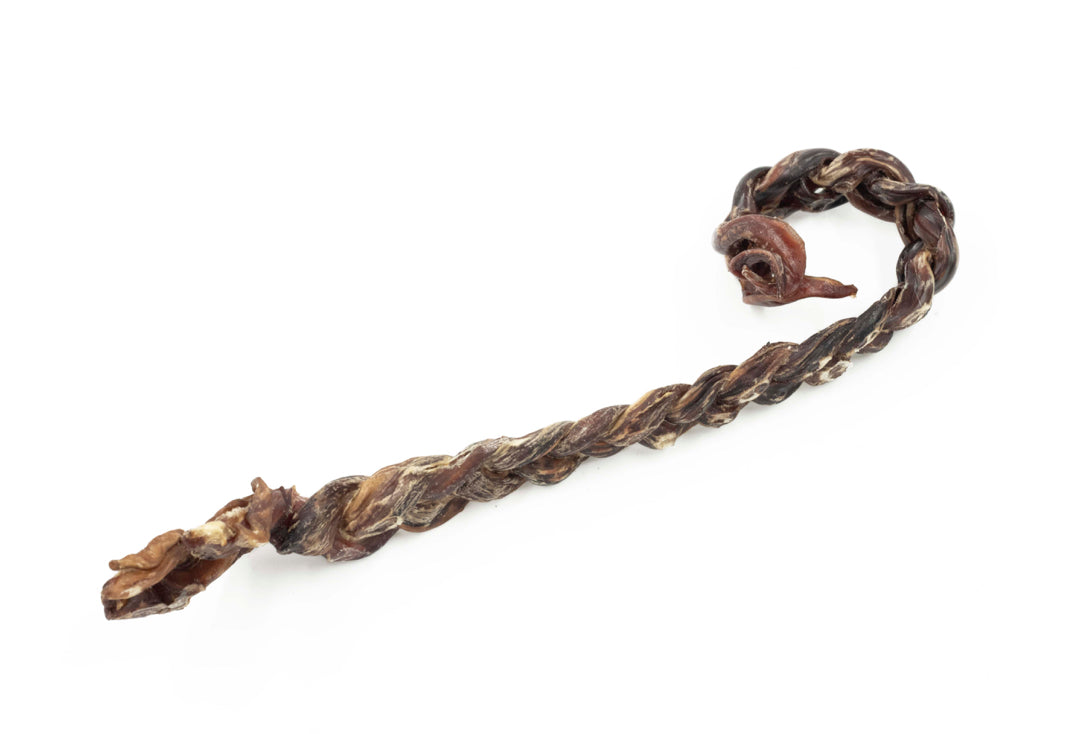 Pizzle de porc canne tressée 4-6″