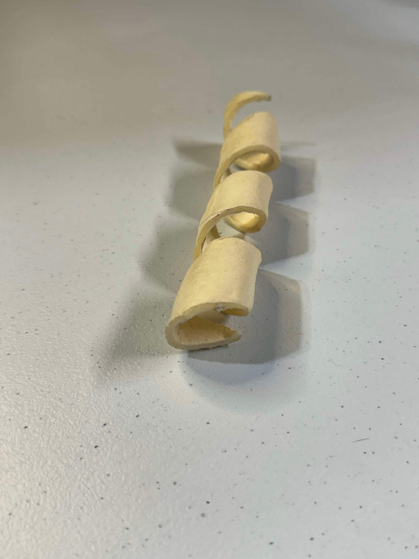 Joue de bœuf spirale - 5-7″ - VENTE MASTICATION DÉCEMBRE