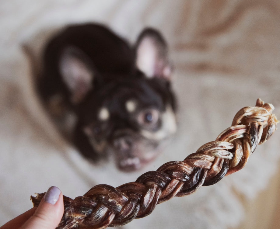 Pizzle de porc tressé 8-10 po