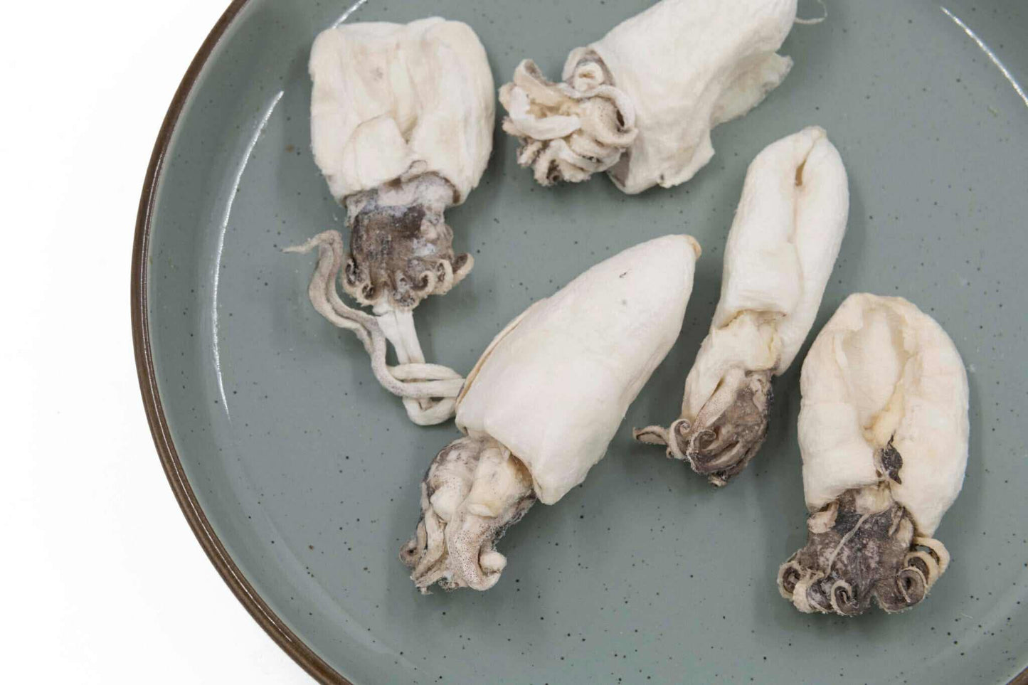 Seiches lyophilisées - La doguerie ®