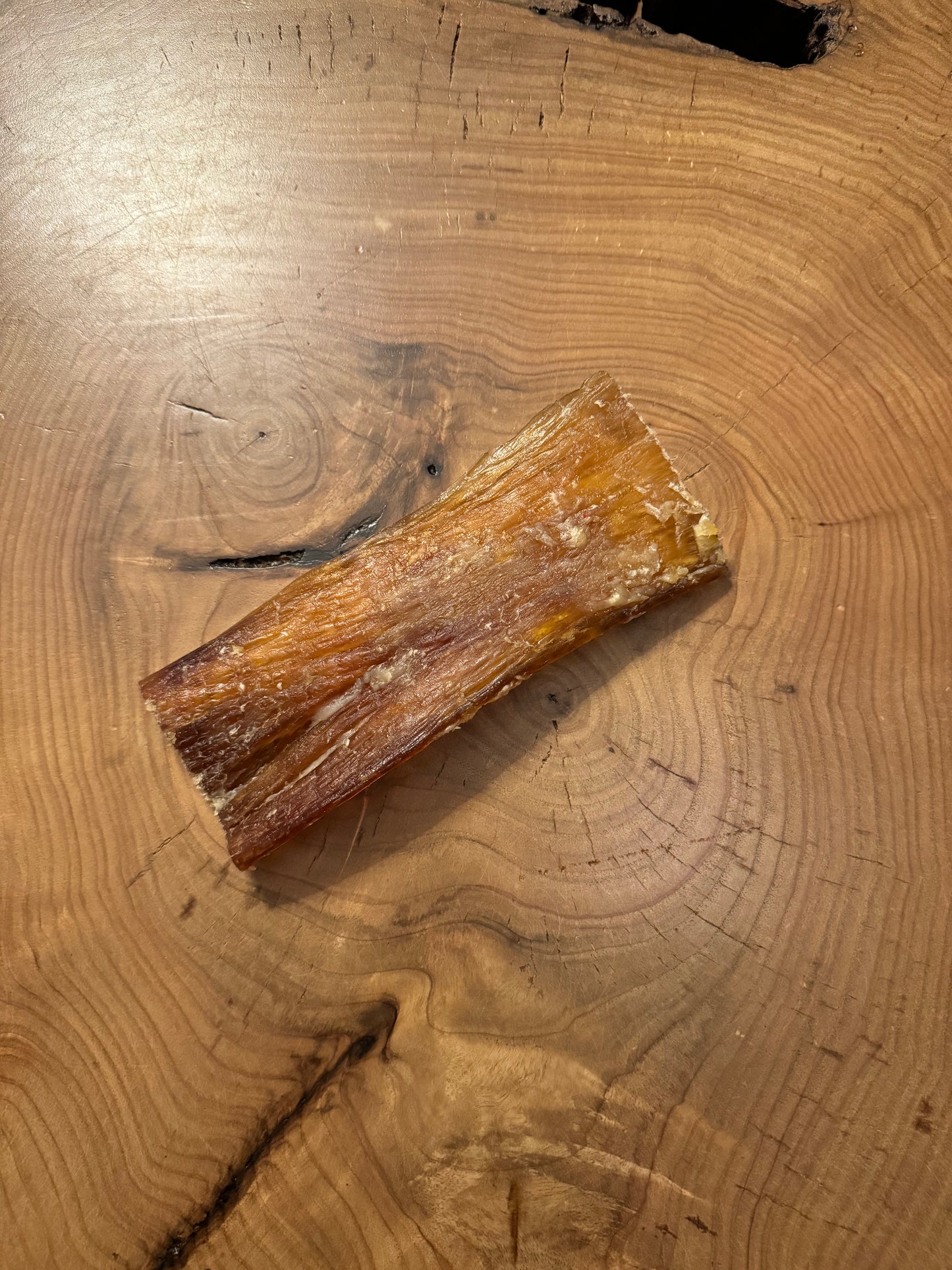 Tendon de boeuf (plusieurs grandeurs)- PROMOTION DÉCEMBRE