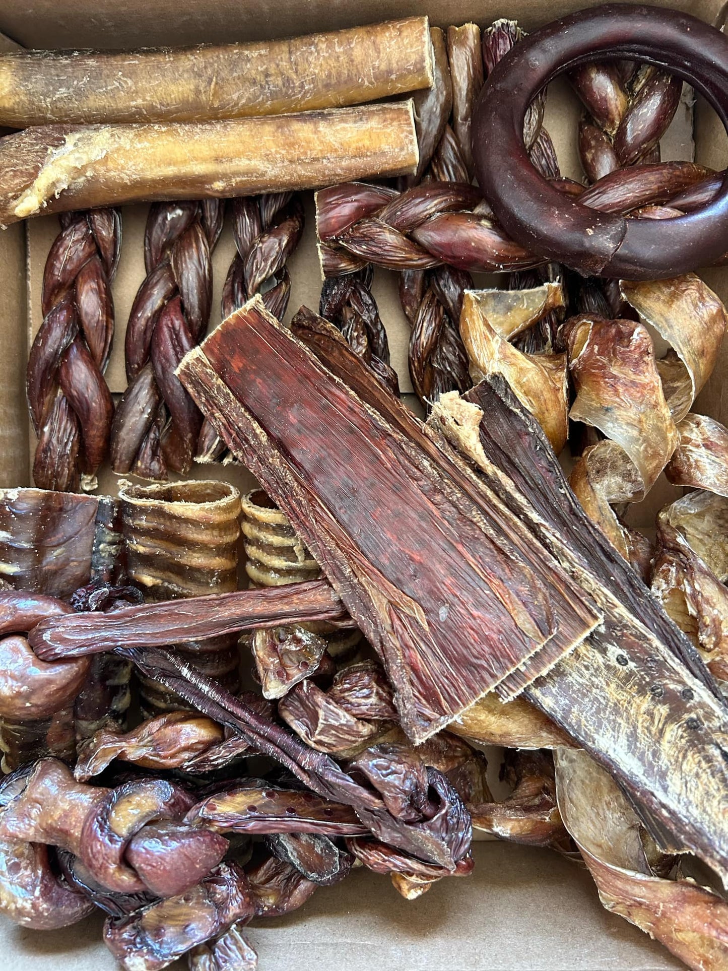 Ensemble mastication « L'économique »!