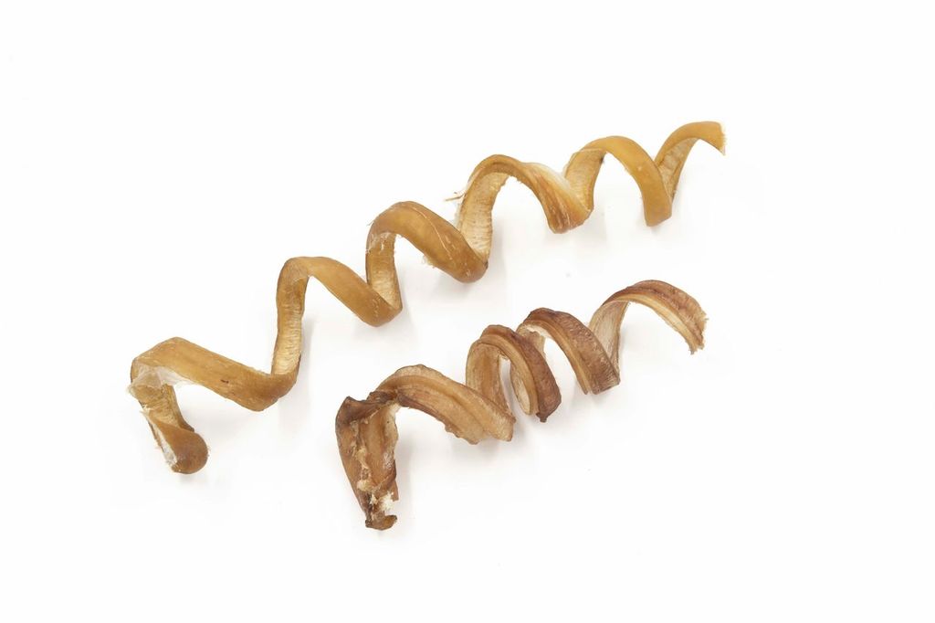 Bully stick Curly (plusieurs grandeurs)