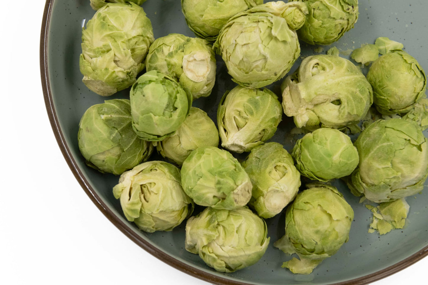 Gâteries lyophilisées choux de Bruxelles - La doguerie ®