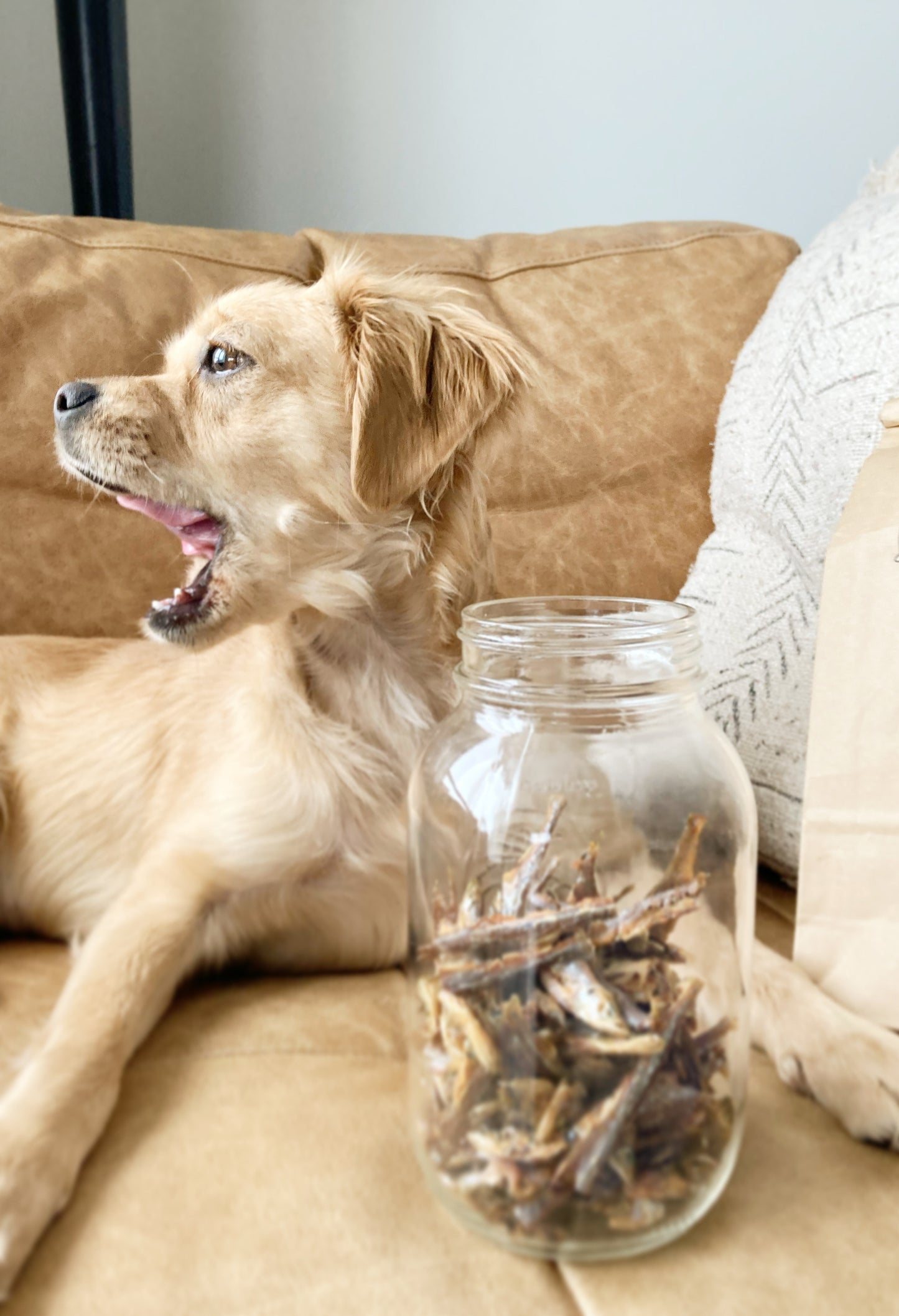Éperlans déshydratés en VRAC - La doguerie ®