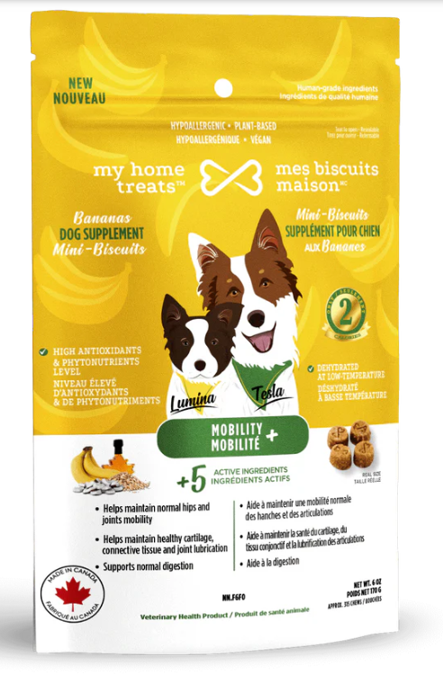 Supplément hypoallergénique pour chien aux bananes - Mobilité+ 170g- Mes biscuits maison