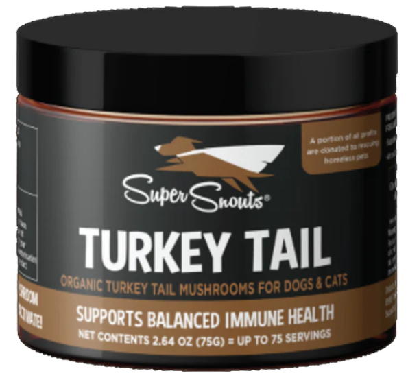 Supplément de champignon- Turkey Tail