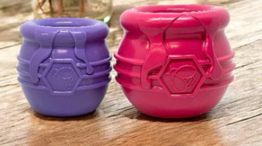 Jouet interactif pot de miel- sodapup XL - Printemps