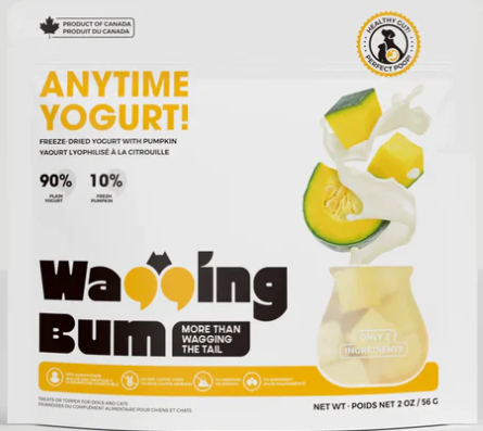 Gâterie yogourt et citrouille lyophilisée