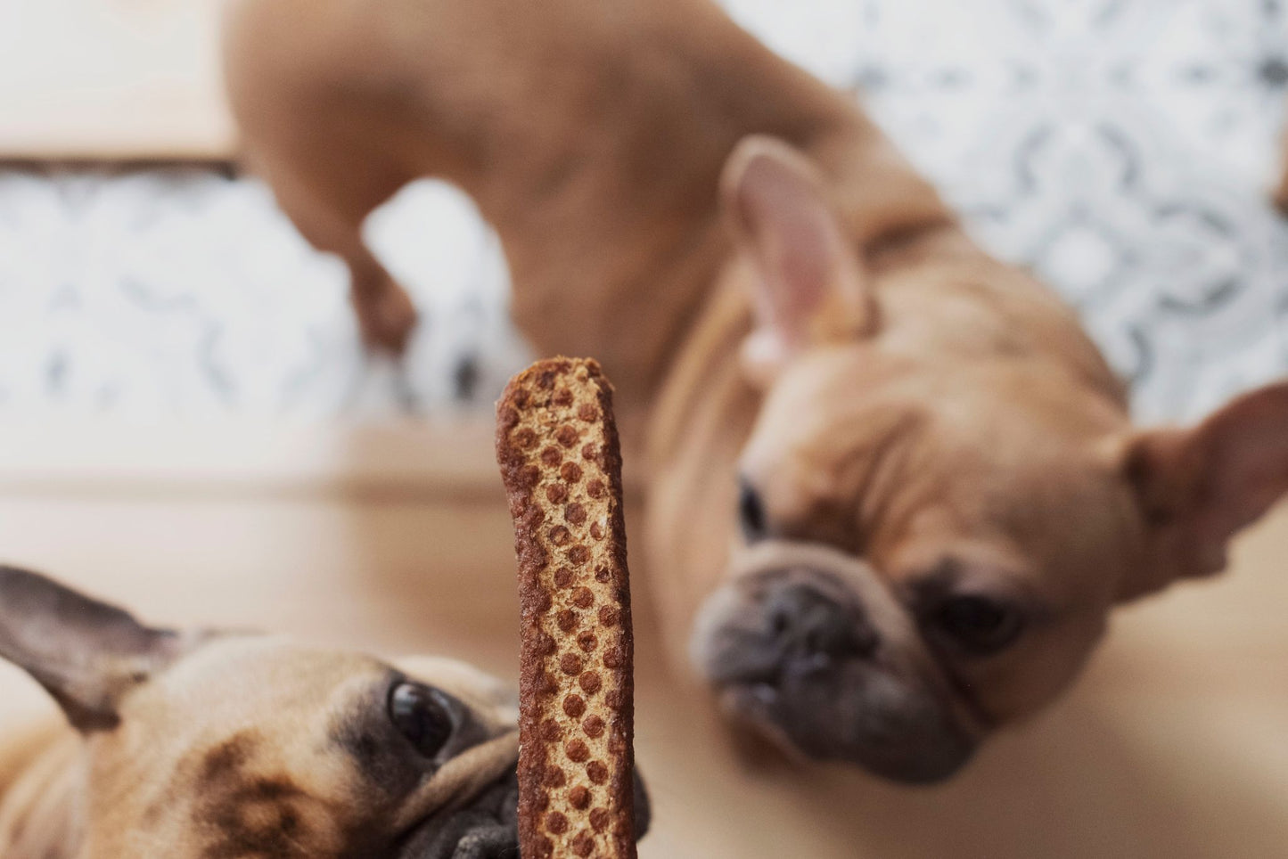 Bâtons tendres à la pomme en VRAC - La doguerie ®