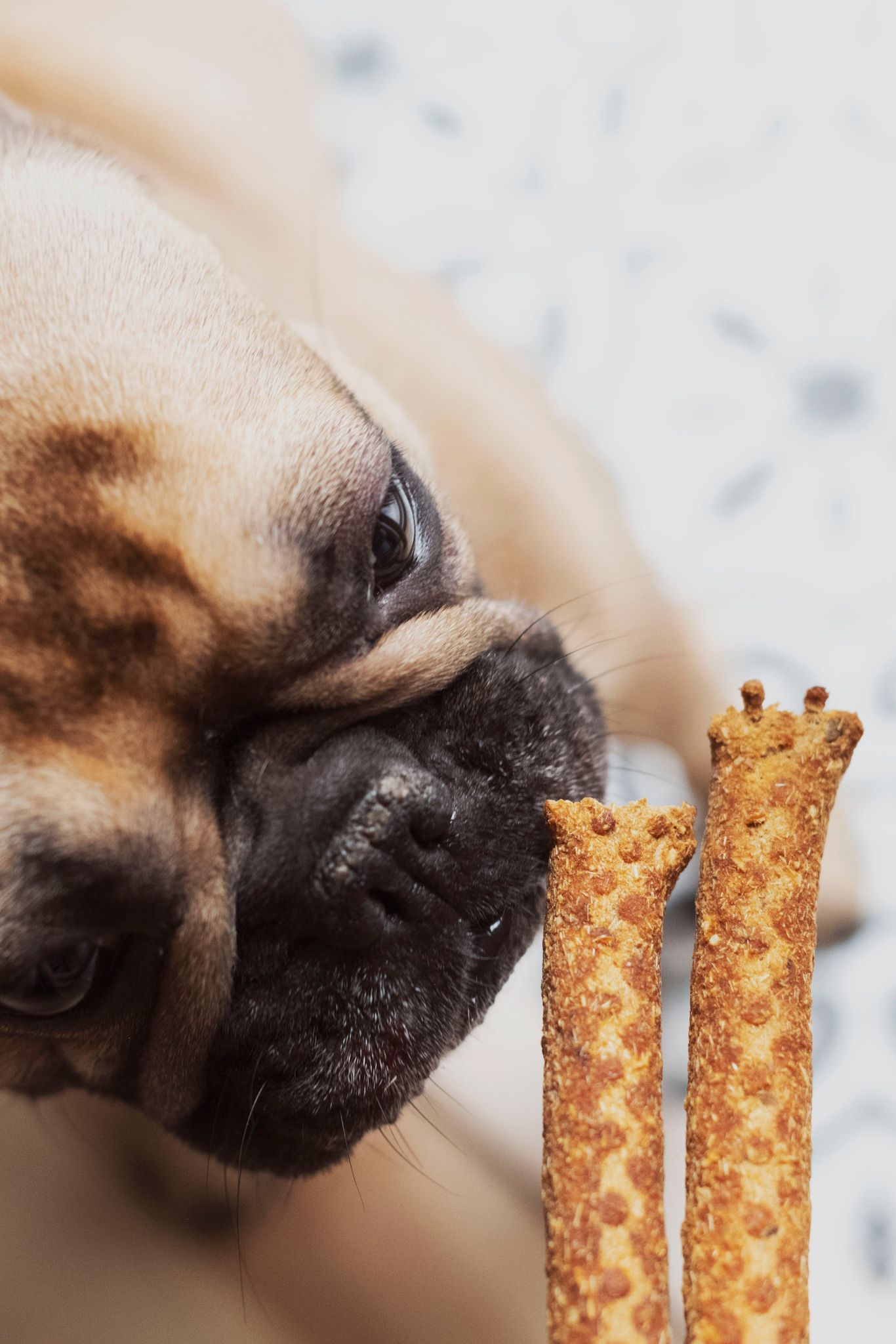 Bâtonnets à la carotte en VRAC - La doguerie ®