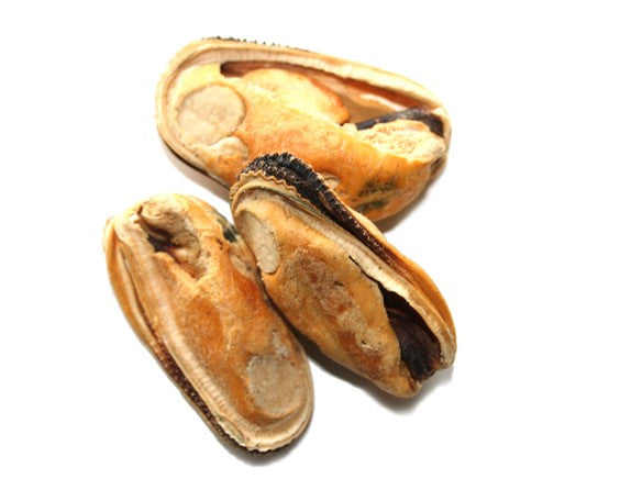 Gâteries moules vertes lyophilisées
