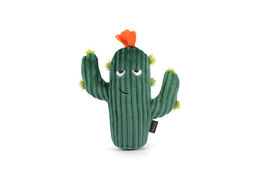 Peluche cactus