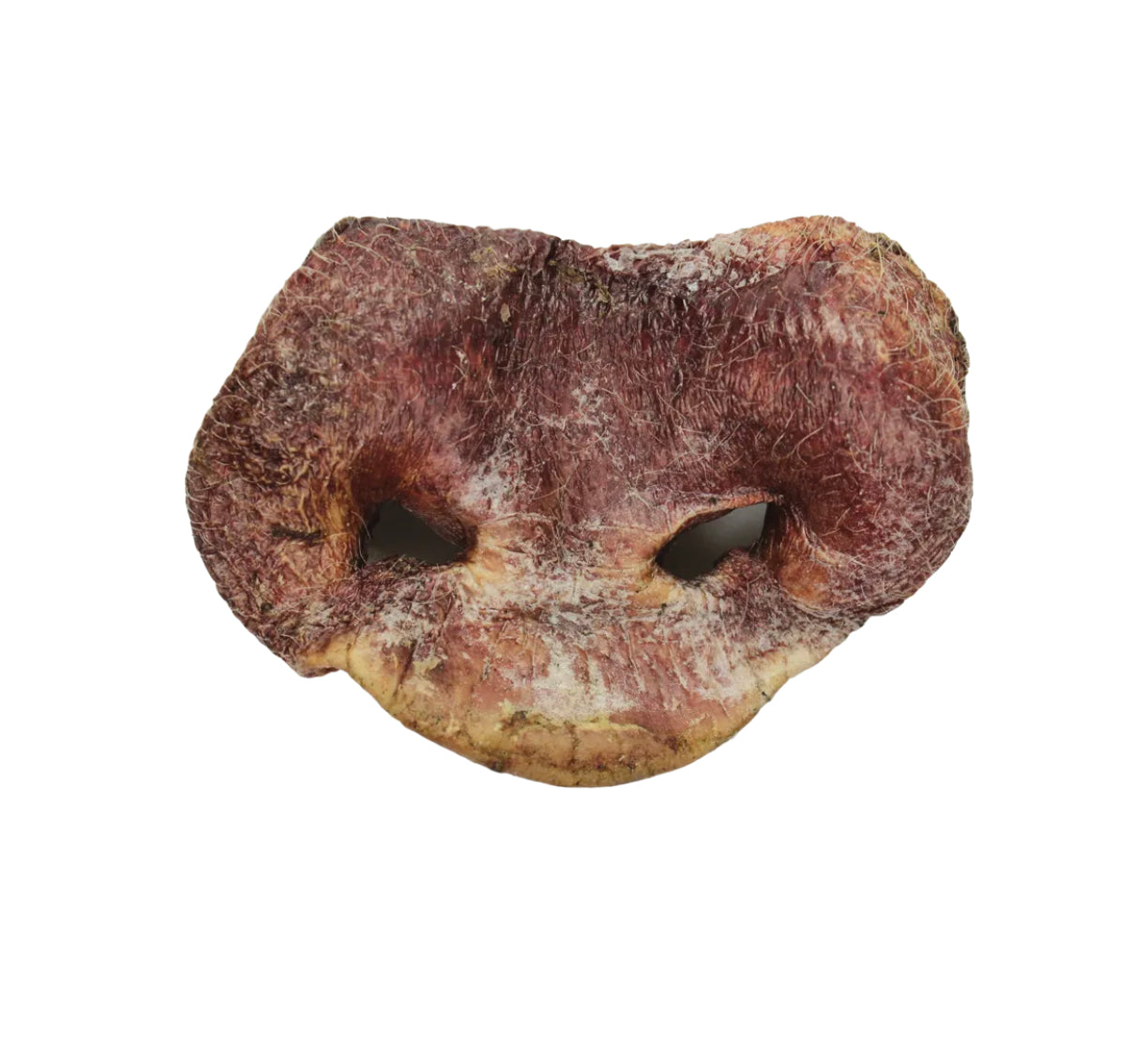 VE RAW BAR - Nez de porc lyophilisé