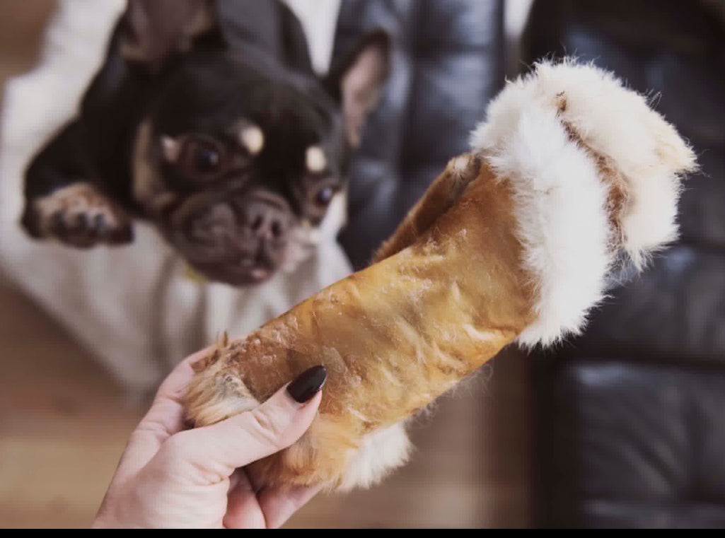 Peau de lapin déshydratée avec fourrure -La doguerie® (plusieurs grandeurs)