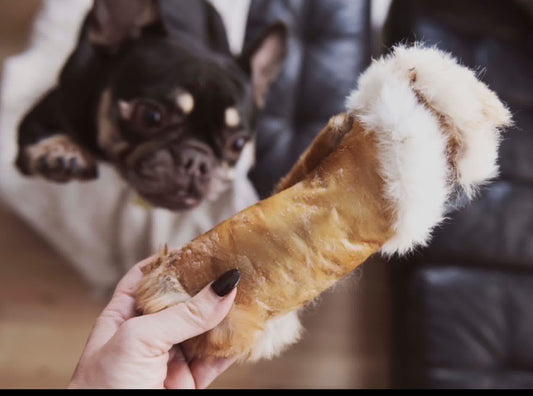 Peau de lapin déshydratée avec fourrure -La doguerie® (plusieurs grandeurs)