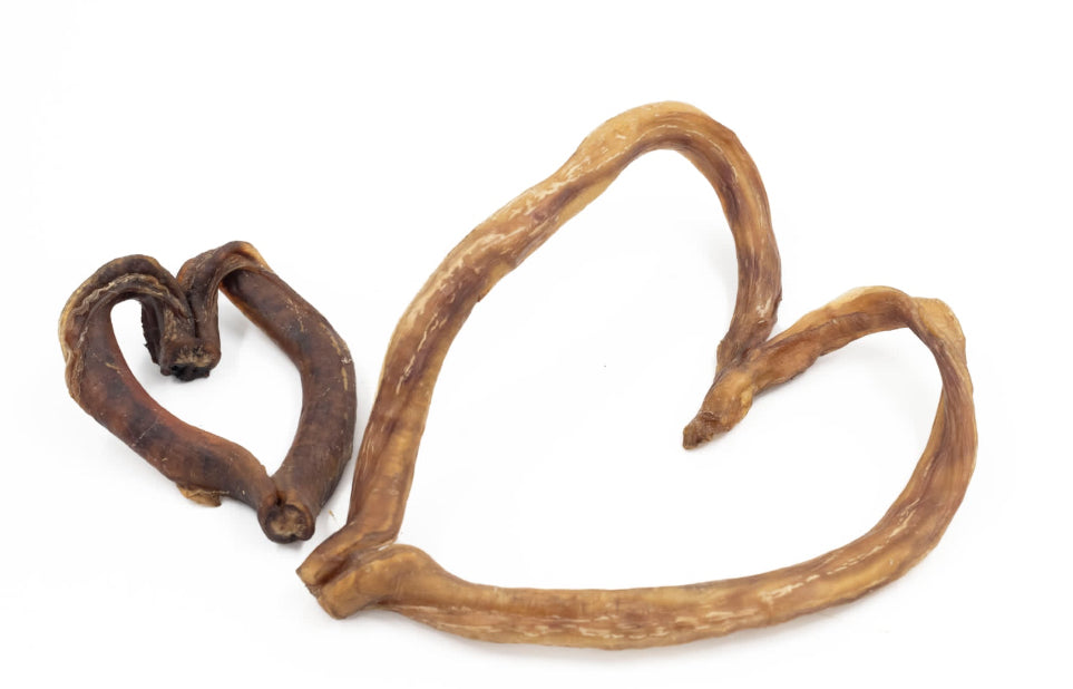Bully stick - Coeur (plusieurs grandeurs) -Saint-Valentin