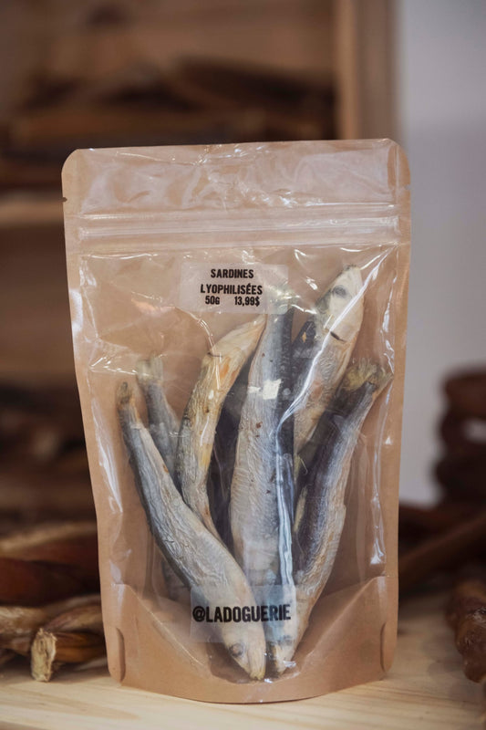Sardines lyophilisées - La doguerie ®