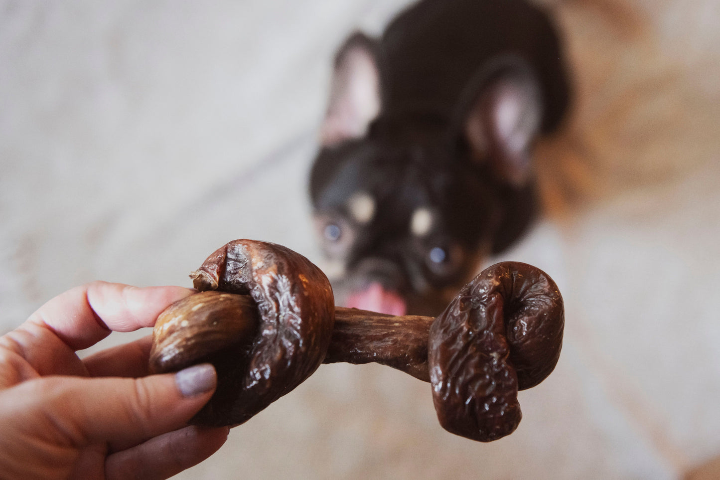 Oesophage de boeuf - Os