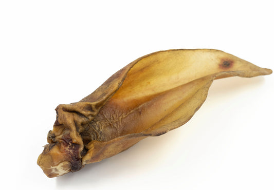 Oreille de buffle entière