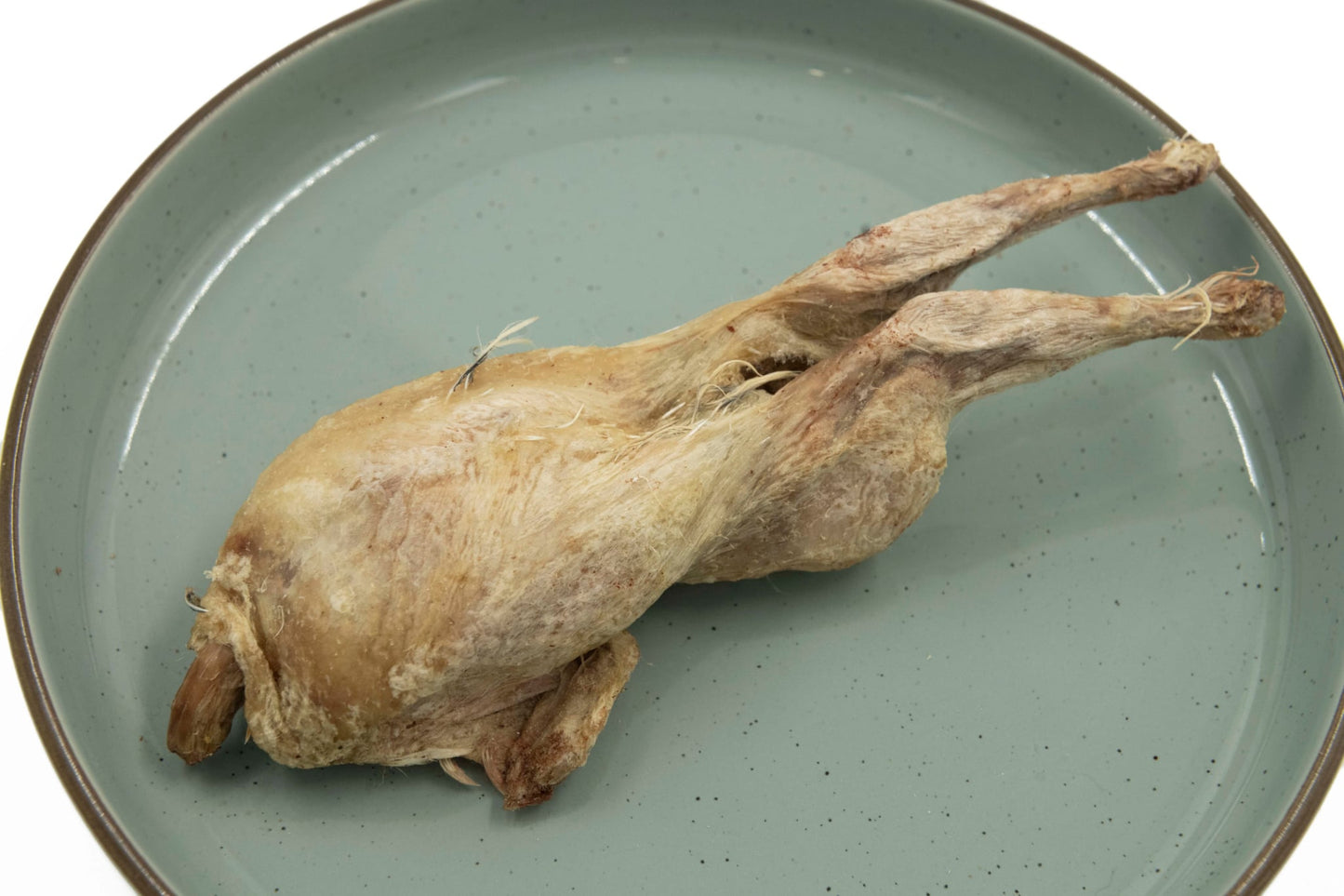 Caille lyophilisée- Paquet de (2) - La doguerie ®