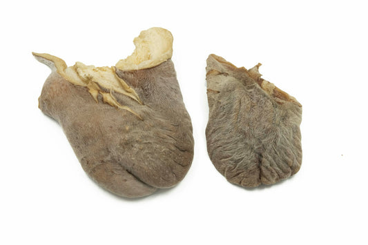 Testicule de bœuf avec fourrure