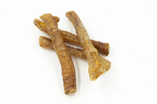 Trachée de porc (1)