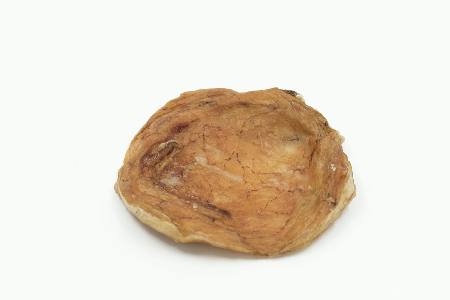 Vessie plate de boeuf à mastiquer