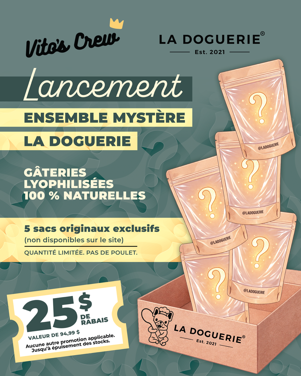 Ensemble mystère gâteries exclusives - La doguerie®