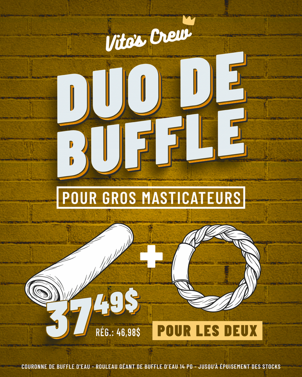 DUO de buffle masticateur extrème