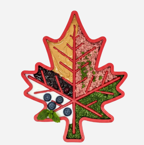 Jouet interactif feuille d'érable - SodaPup - Printemps