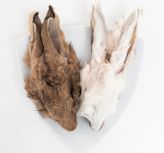 Tête de lapin déshydratée avec fourrure