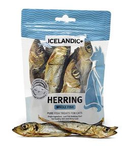 Harengs entiers Icelandic+