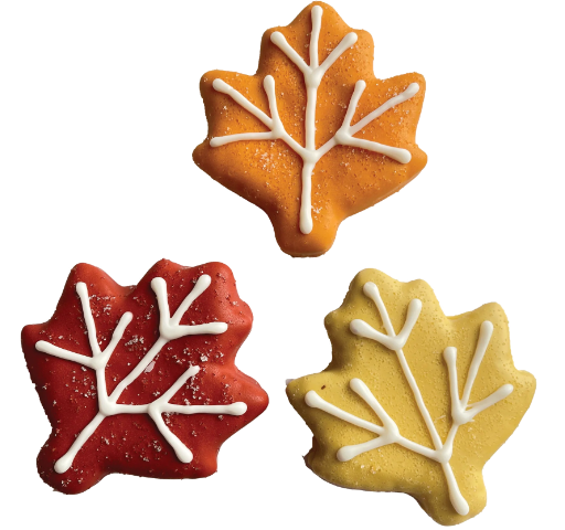 Biscuit Feuille d'automne - Boutique Automne & Halloween 2025