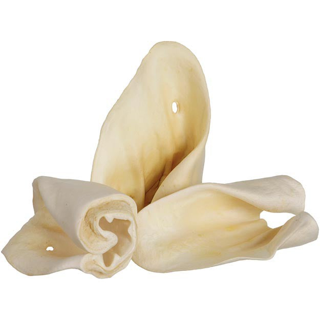 Oreille de vache soufflée