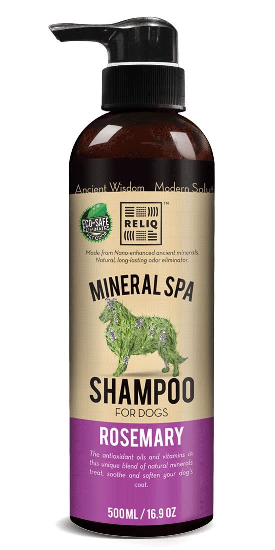 Shampoing au Romarin pour chien